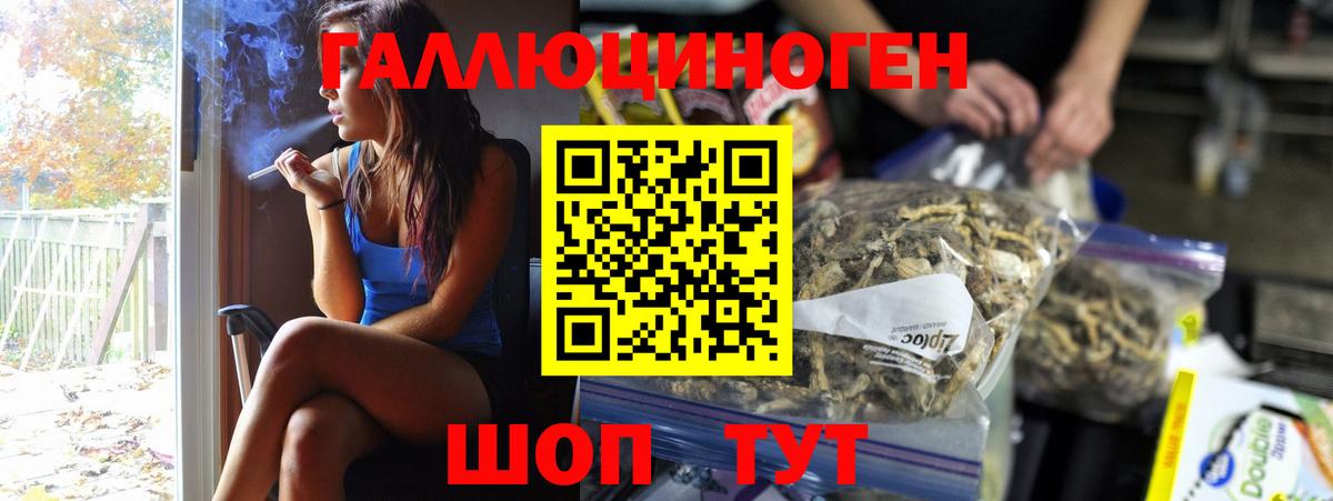Псилоцибиновые грибы Cubensis Междуреченск