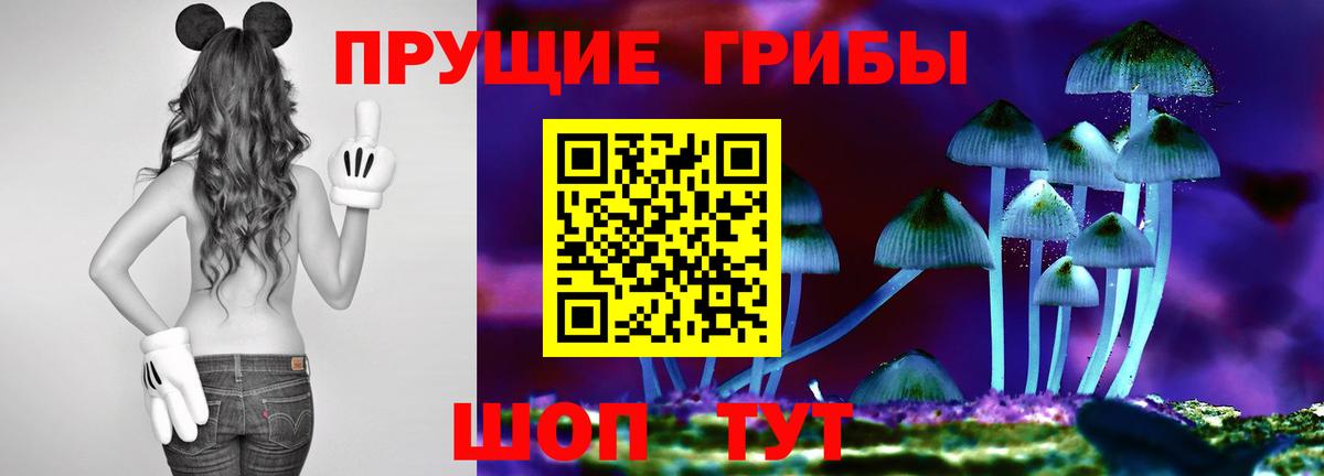 Междуреченск  Галлюциногенные грибы MAGIC MUSHROOMS  Псилоцибиновые грибы мицелий  Вход с VPN 